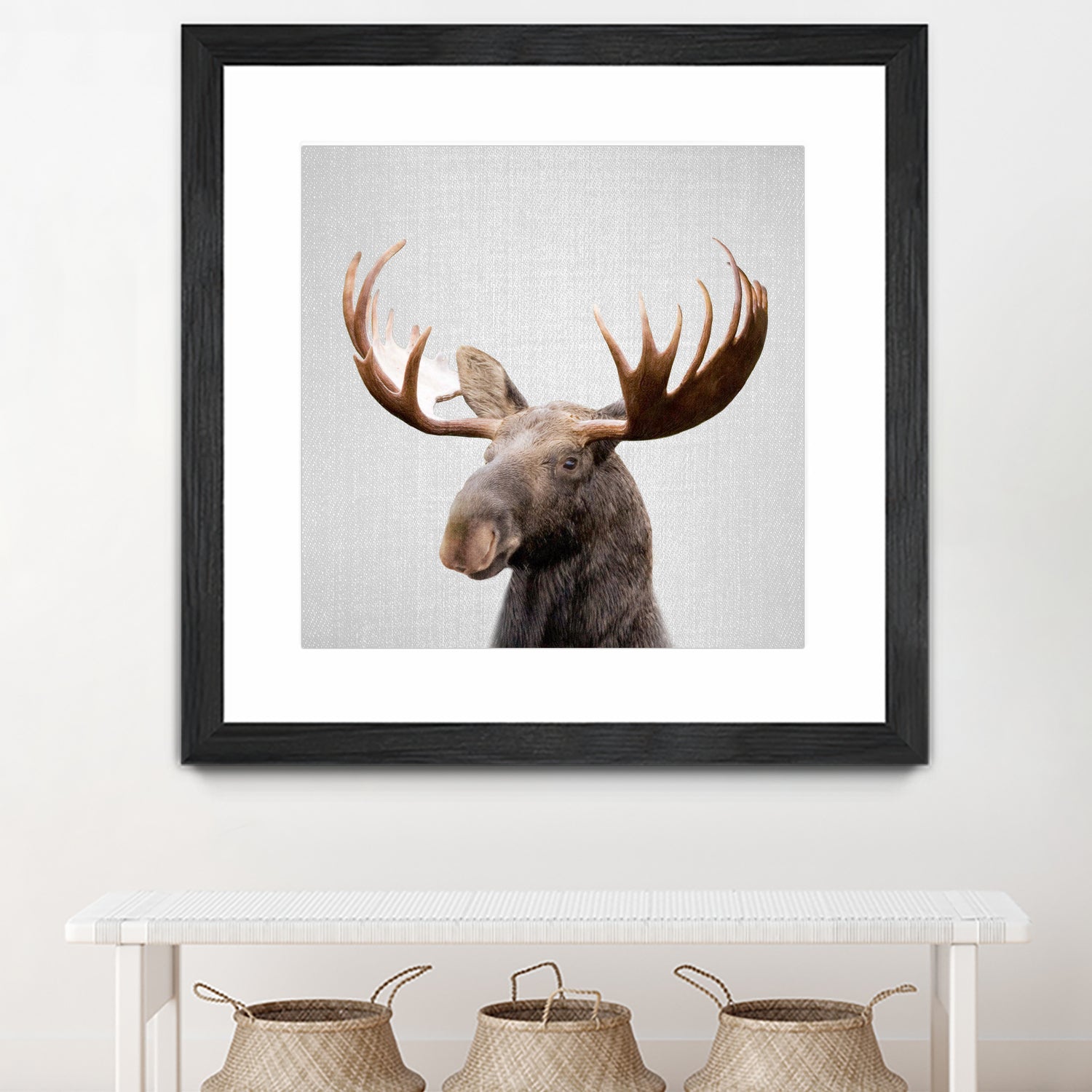 Moose - Colorful by Gal Pittel on GIANT ART - brown photo illustration