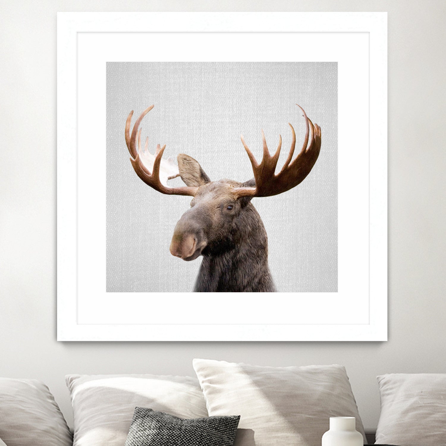 Moose - Colorful by Gal Pittel on GIANT ART - brown photo illustration