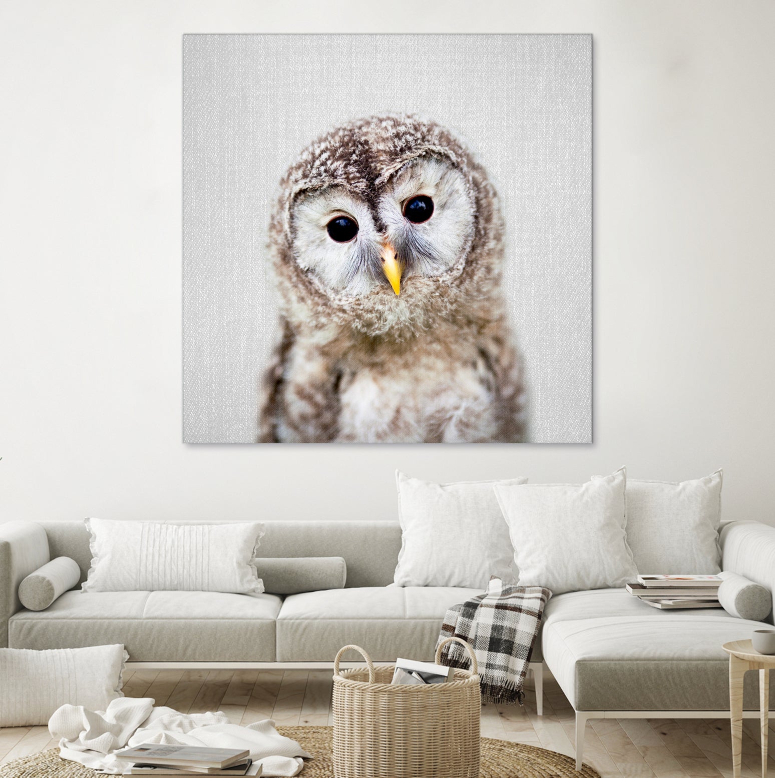 Baby Owl - Colorful by Gal Pittel on GIANT ART - brown digital painting