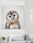 Baby Owl - Colorful by Gal Pittel on GIANT ART - brown digital painting