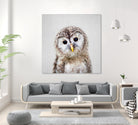 Baby Owl - Colorful by Gal Pittel on GIANT ART - brown digital painting