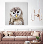 Baby Owl - Colorful by Gal Pittel on GIANT ART - brown digital painting