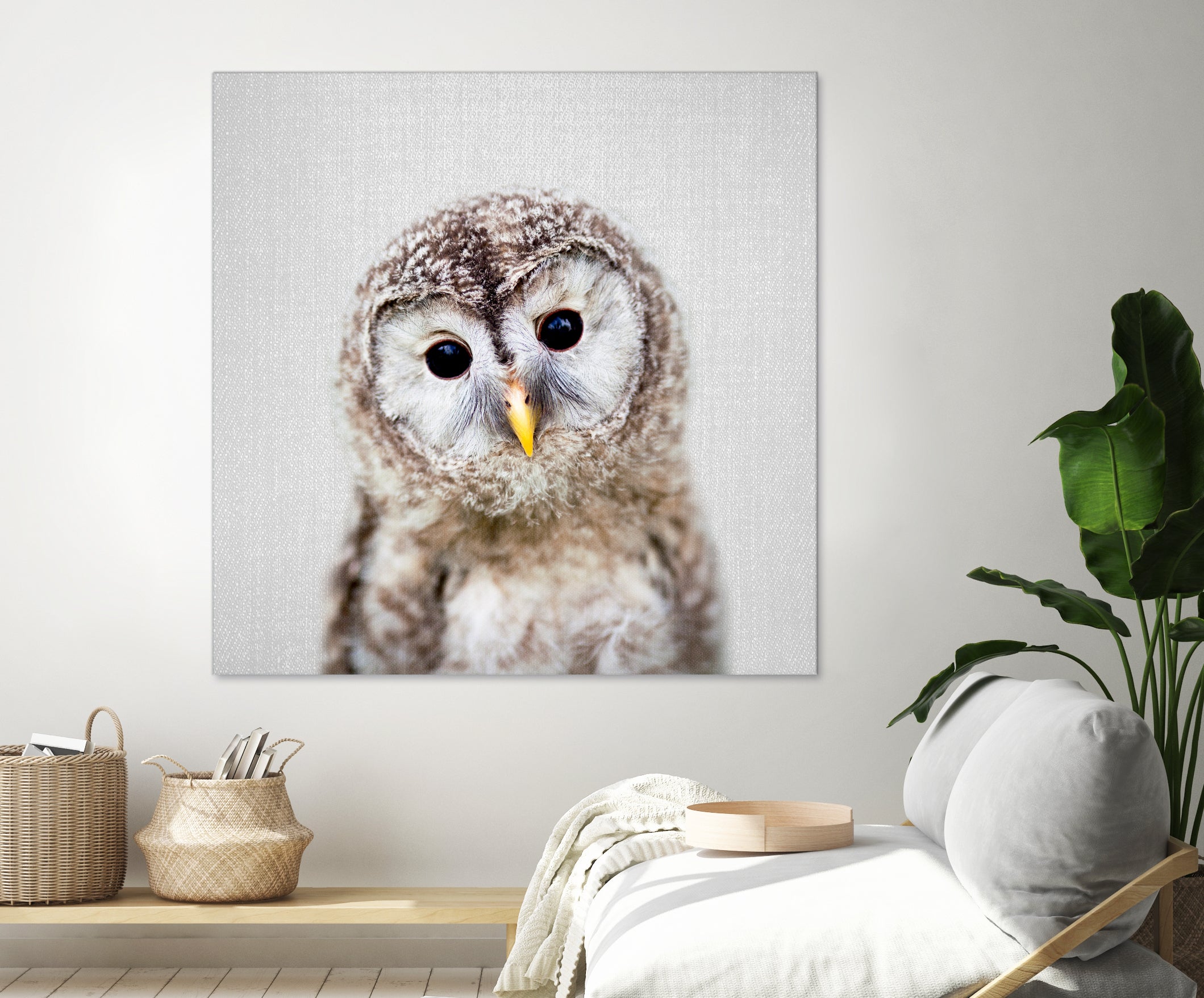 Baby Owl - Colorful by Gal Pittel on GIANT ART - brown digital painting