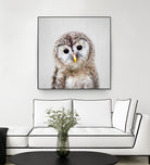 Baby Owl - Colorful by Gal Pittel on GIANT ART - brown digital painting