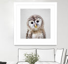 Baby Owl - Colorful by Gal Pittel on GIANT ART - brown digital painting