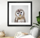 Baby Owl - Colorful by Gal Pittel on GIANT ART - brown digital painting