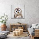 Baby Owl - Colorful by Gal Pittel on GIANT ART - brown digital painting