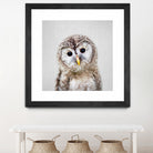 Baby Owl - Colorful by Gal Pittel on GIANT ART - brown digital painting