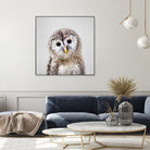 Baby Owl - Colorful by Gal Pittel on GIANT ART - brown digital painting