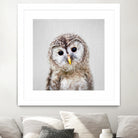 Baby Owl - Colorful by Gal Pittel on GIANT ART - brown digital painting