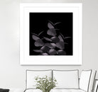 Eucalyptus Leaves Black Black #1 #foliage #decor #art by Anita & Bella Jantz on GIANT ART - black photo illustration