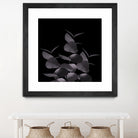 Eucalyptus Leaves Black Black #1 #foliage #decor #art by Anita & Bella Jantz on GIANT ART - black photo illustration