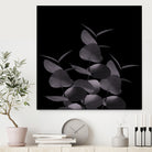 Eucalyptus Leaves Black Black #1 #foliage #decor #art by Anita & Bella Jantz on GIANT ART - black photo illustration