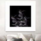 Eucalyptus Leaves Black Black #1 #foliage #decor #art by Anita & Bella Jantz on GIANT ART - black photo illustration