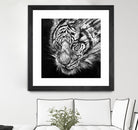 Nightstalker B&W by Marc Allante on GIANT ART - white photo illustration