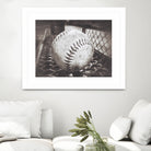 Softball on the Bench in Sepia by Leah McPhail on GIANT ART - brown photo illustration