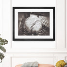 Softball on the Bench in Sepia by Leah McPhail on GIANT ART - brown photo illustration