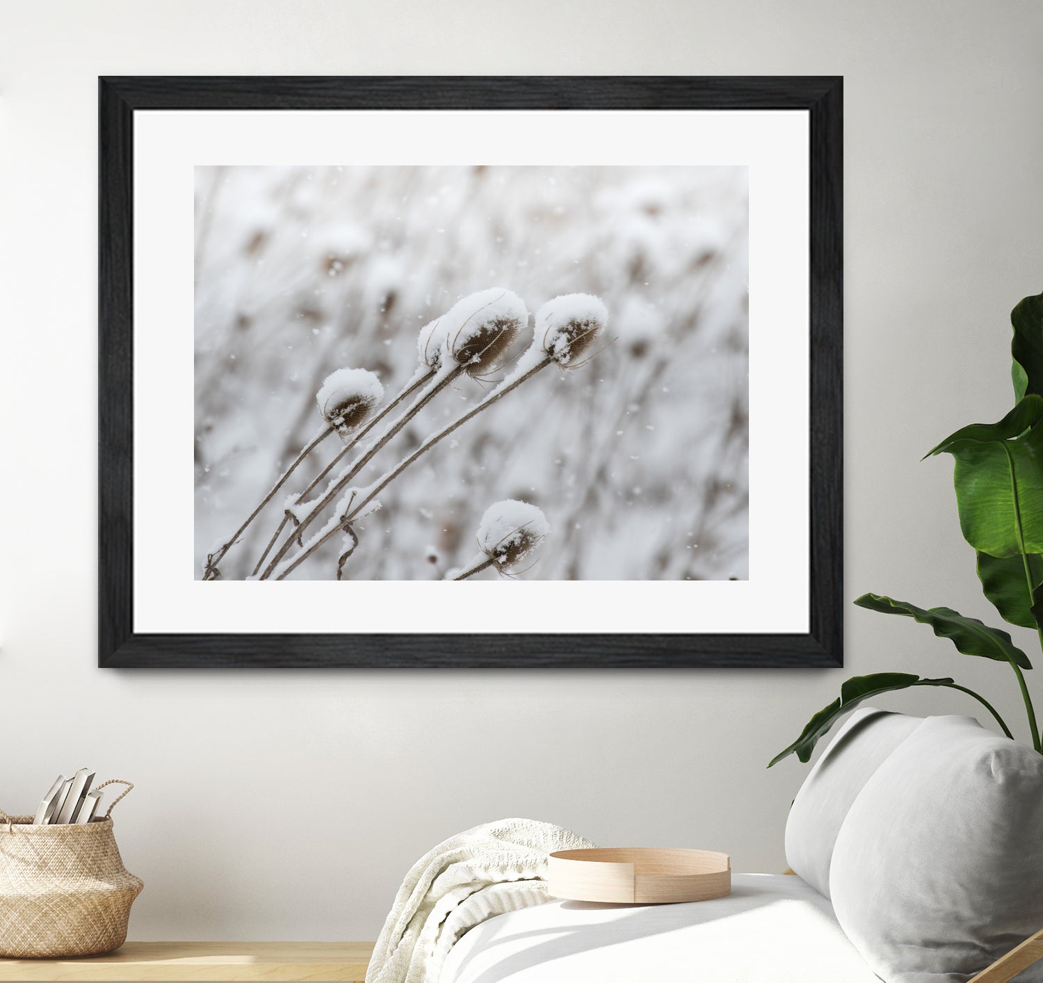 Snow on Thistle by Arlene Carley on GIANT ART - white photo manipulation