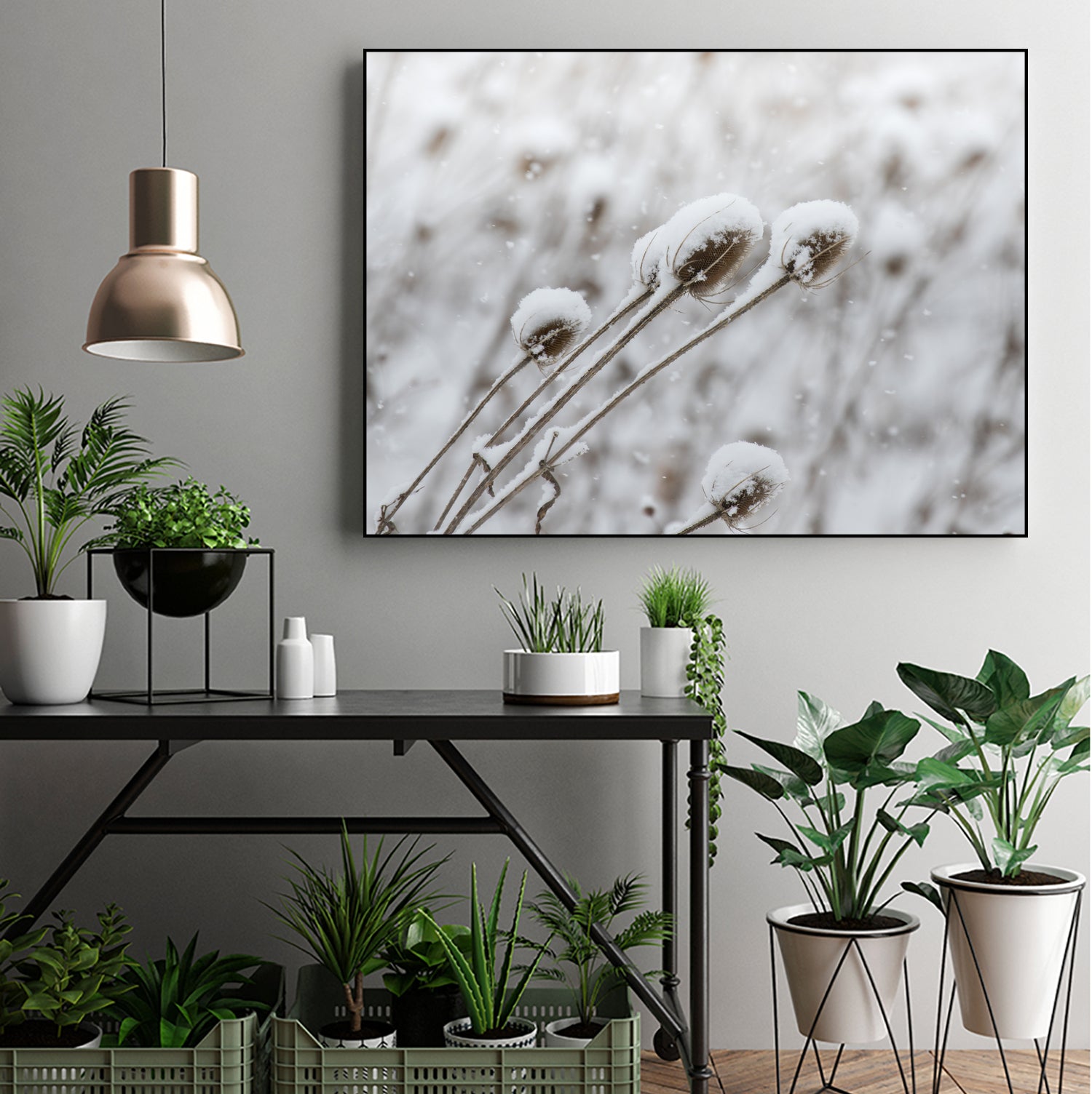 Snow on Thistle by Arlene Carley on GIANT ART - white photo manipulation