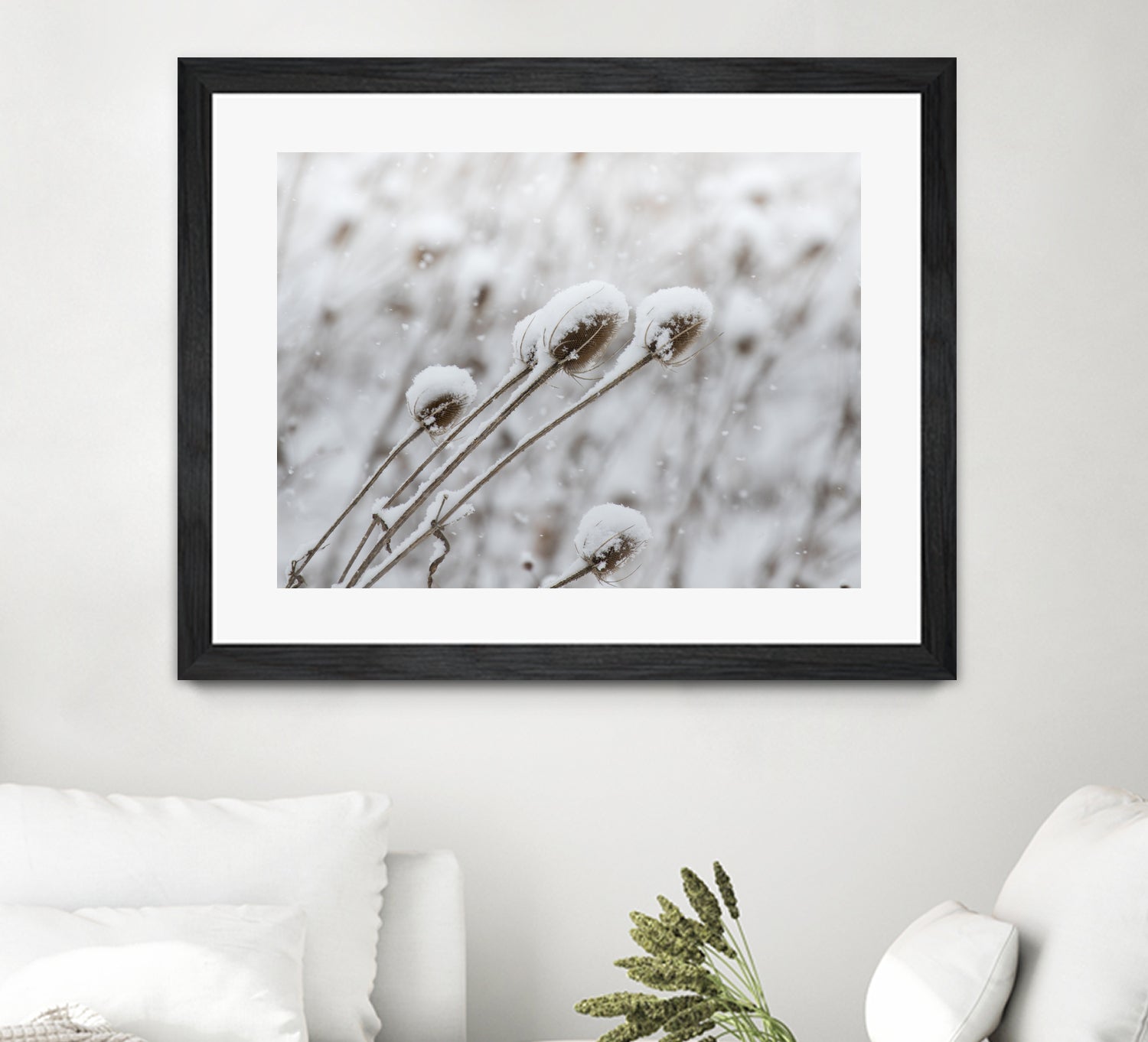 Snow on Thistle by Arlene Carley on GIANT ART - white photo manipulation