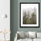 Winter in the Forest by Arlene Carley on GIANT ART - green photo manipulation