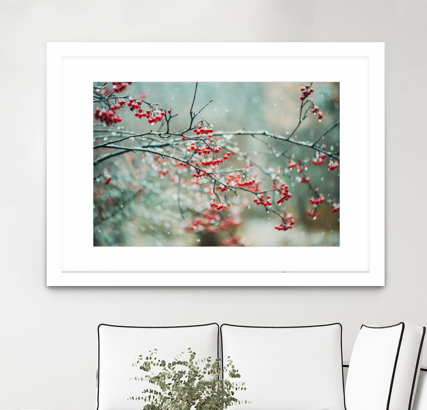 berries in snow by Amy Buxton on GIANT ART - red photo illustration