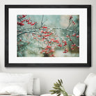 berries in snow by Amy Buxton on GIANT ART - red photo illustration