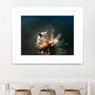 Dew drops on dandelion seed by Studio OMG on GIANT ART - brown photo illustration