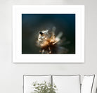 Dew drops on dandelion seed by Studio OMG on GIANT ART - brown photo illustration