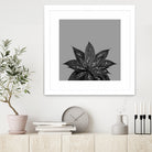 Gray Black Agave with Black Silver Glitter #3 #shiny by Anita & Bella Jantz on GIANT ART - gray photo illustration