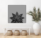 Gray Black Agave with Black Silver Glitter #3 #shiny by Anita & Bella Jantz on GIANT ART - gray photo illustration