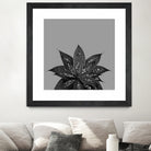 Gray Black Agave with Black Silver Glitter #3 #shiny by Anita & Bella Jantz on GIANT ART - gray photo illustration