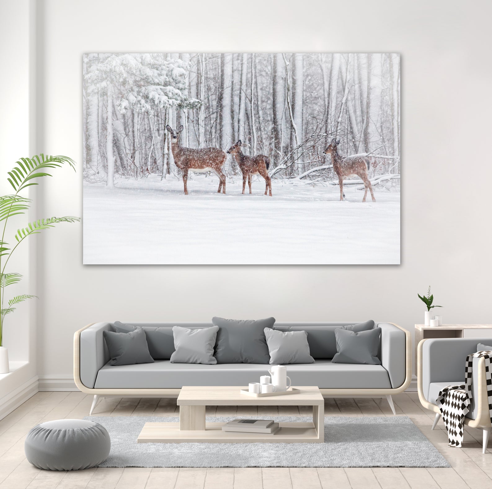 Winter Visits by Karol Livote on GIANT ART - white mixed media