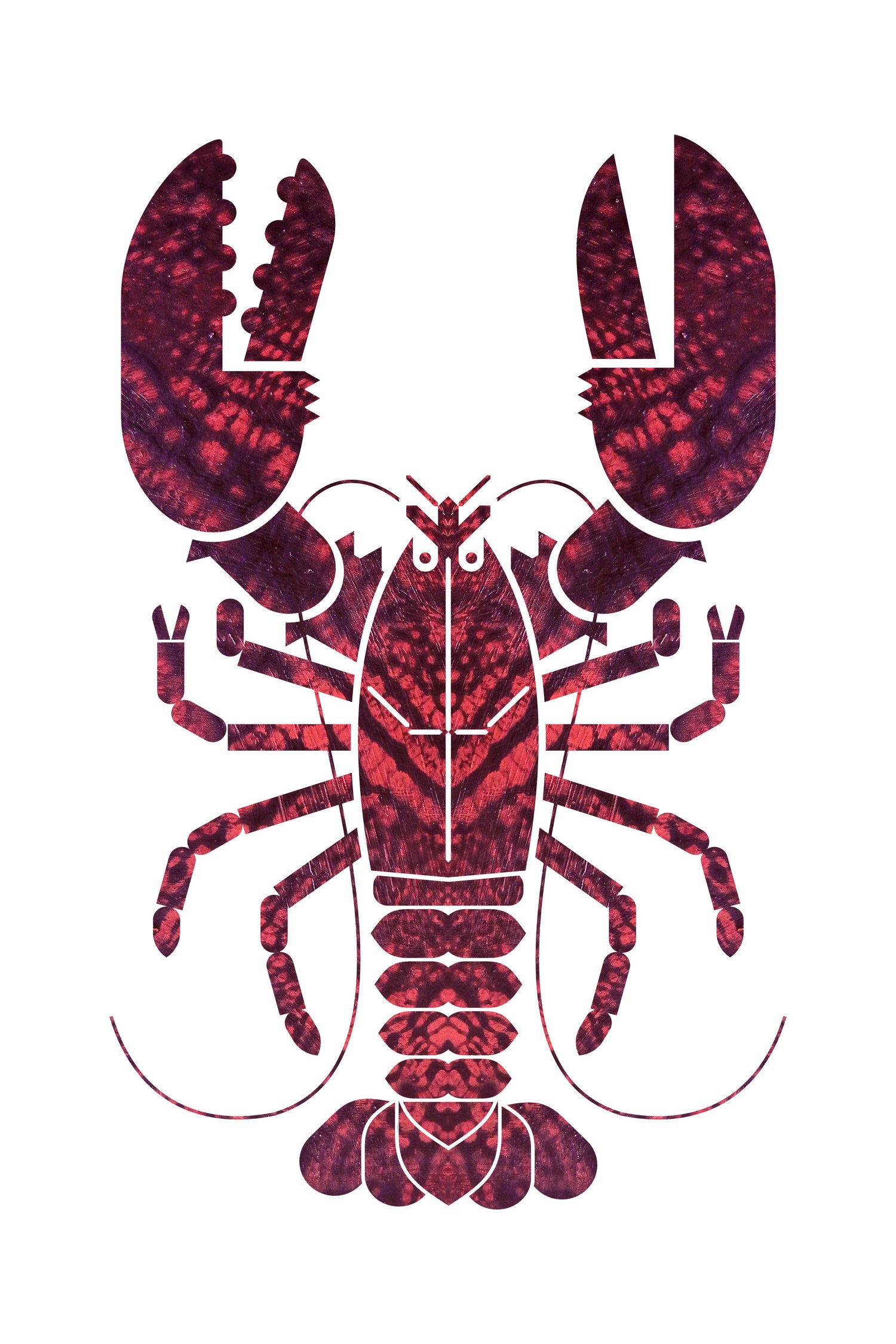 American Lobster by Scott Partridge on GIANT ART - red vector illustration