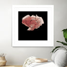 rose - one line art by Andrew Strugallo on GIANT ART - white digital drawing