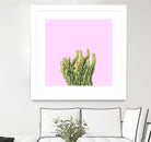 Summer Cactus Fingers on Soft Lavender by Dominique Van Roey on GIANT ART - pink photo manipulation