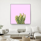 Summer Cactus Fingers on Soft Lavender by Dominique Van Roey on GIANT ART - pink photo manipulation