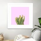 Summer Cactus Fingers on Soft Lavender by Dominique Van Roey on GIANT ART - pink photo manipulation