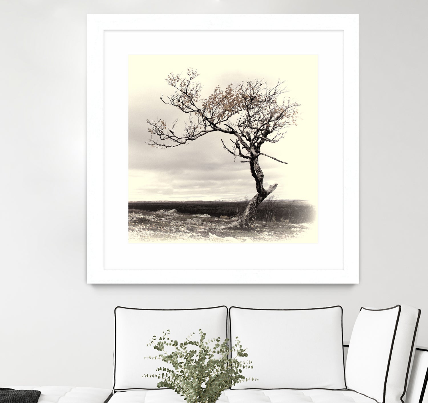 Lonely Tree by I Bjork on GIANT ART - gray photo illustration