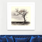 Lonely Tree by I Bjork on GIANT ART - gray photo illustration