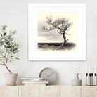 Lonely Tree by I Bjork on GIANT ART - gray photo illustration