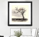 Lonely Tree by I Bjork on GIANT ART - gray photo illustration