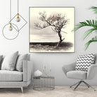 Lonely Tree by I Bjork on GIANT ART - gray photo illustration