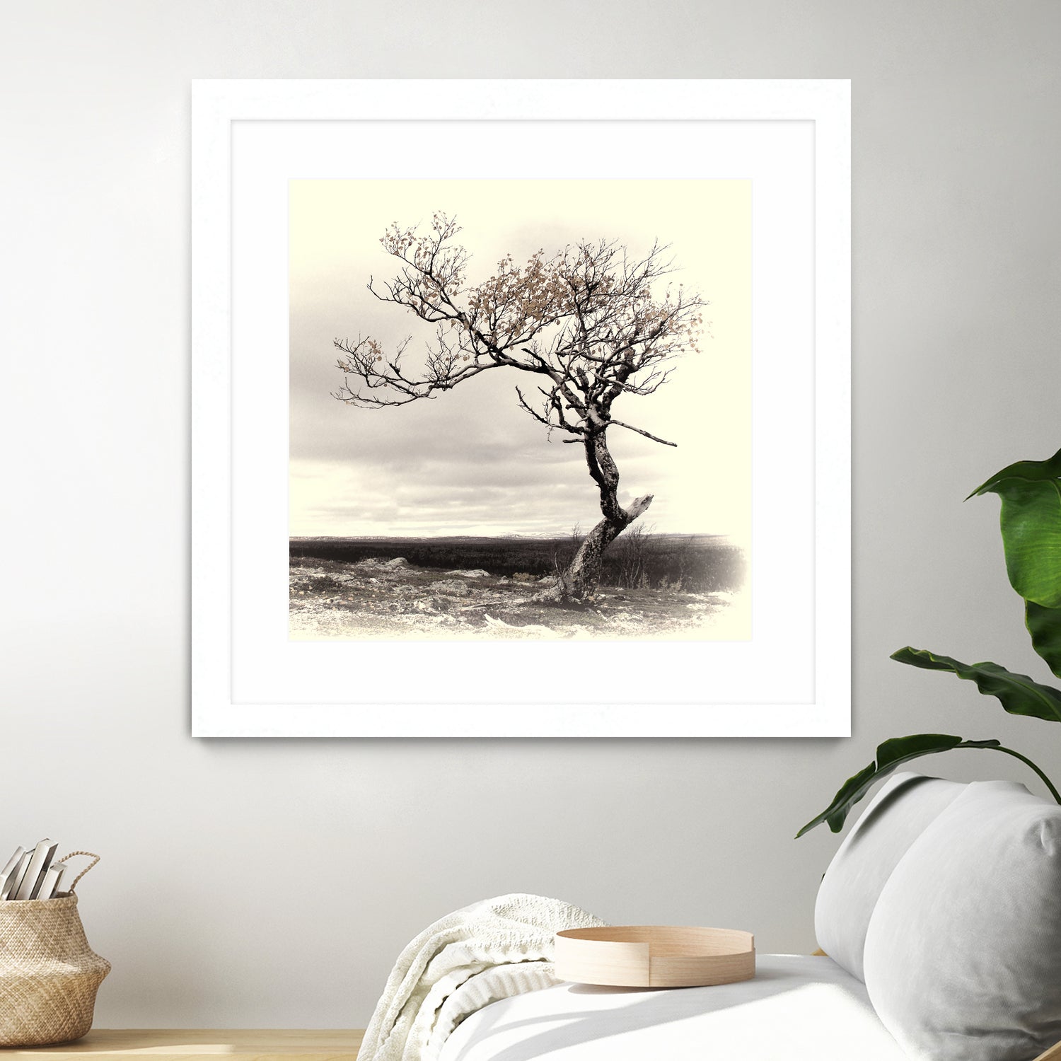 Lonely Tree by I Bjork on GIANT ART - gray photo illustration