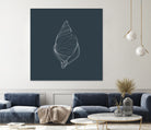 Shell by Alessandra Gagliano on GIANT ART - gray vector illustration