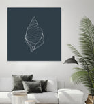 Shell by Alessandra Gagliano on GIANT ART - gray vector illustration