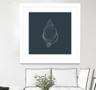 Shell by Alessandra Gagliano on GIANT ART - gray vector illustration