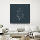 Shell by Alessandra Gagliano on GIANT ART - gray vector illustration