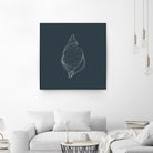 Shell by Alessandra Gagliano on GIANT ART - gray vector illustration