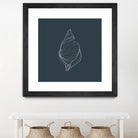 Shell by Alessandra Gagliano on GIANT ART - gray vector illustration